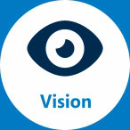 vision